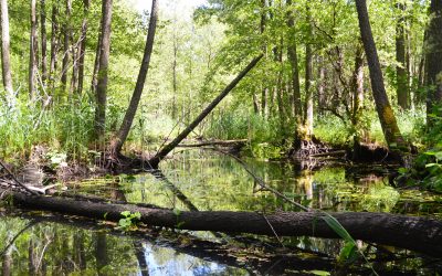 First LIFE integrated project in Lithuania kicks-off