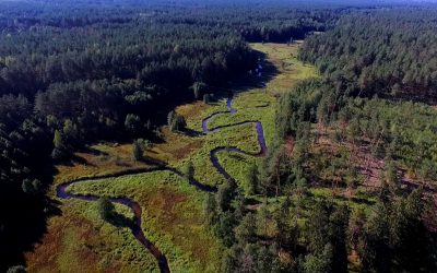 Lietuva įgyvendins pirmąjį LIFE programos integruotąjį projektą