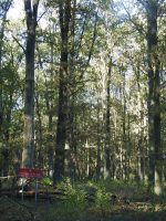 Miškinga Natura 2000 teritorija