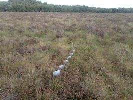 Škotijos gamtotvarkos darbų pavyzdys