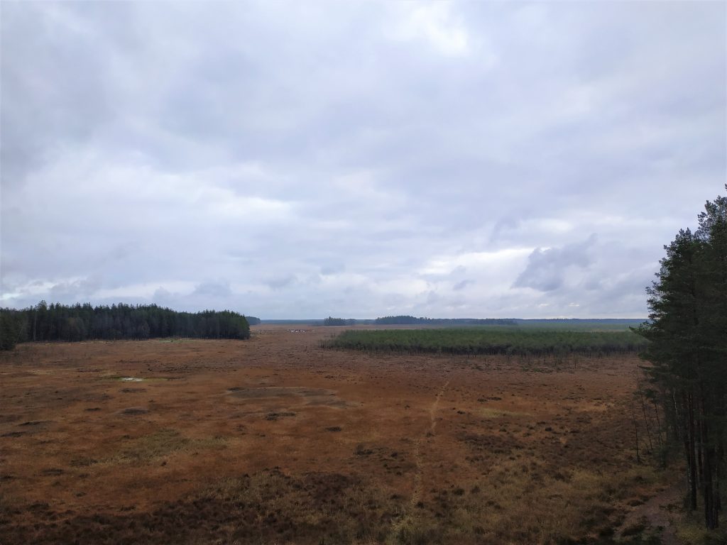 projekto teritorijos