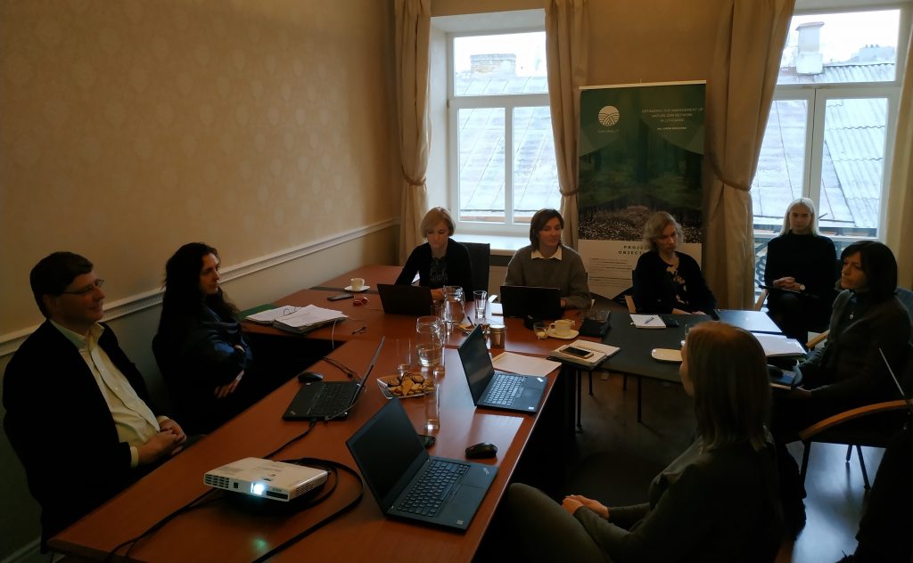 Vykdoma veiklų patikra