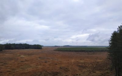 Dzūkijos nacionaliniame parke apžiūrėtos projekto teritorijos