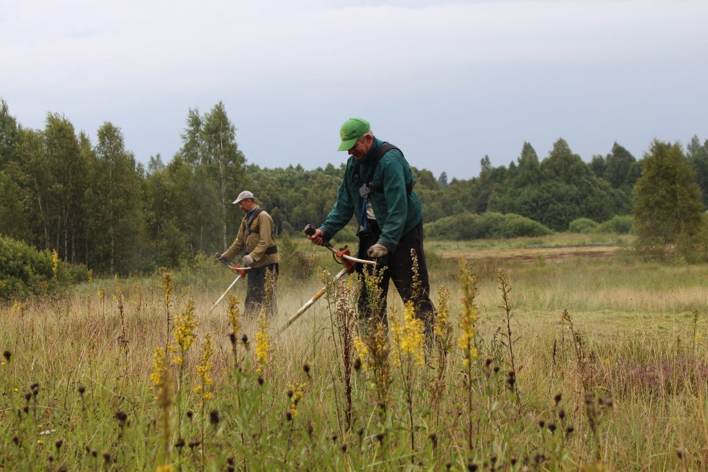 Pievoje vyrai atlieka gamtotvarkos darbus