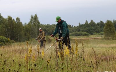 Pirmieji žingsniai gamtotvarkos planavimo optimizavimo link