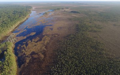 Lietuviai palaiko saugomų teritorijų tinklo „Natura 2000“  idėją ir pritaria aktyvesniems gamtosaugos veiksmams