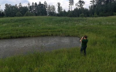 Tęsiame žaidimą – reti, paslaptingi ir saugomi. Ar žinote, kas palieka tokį pėdsaką?