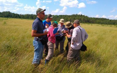 Saugomų teritorijų specialistai Žemaitijoje diskutavo gamtinių buveinių monitoringo klausimais
