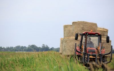 Pristatyta ES šalių agrarinės aplinkosaugos priemonių gerosios praktikos analizė