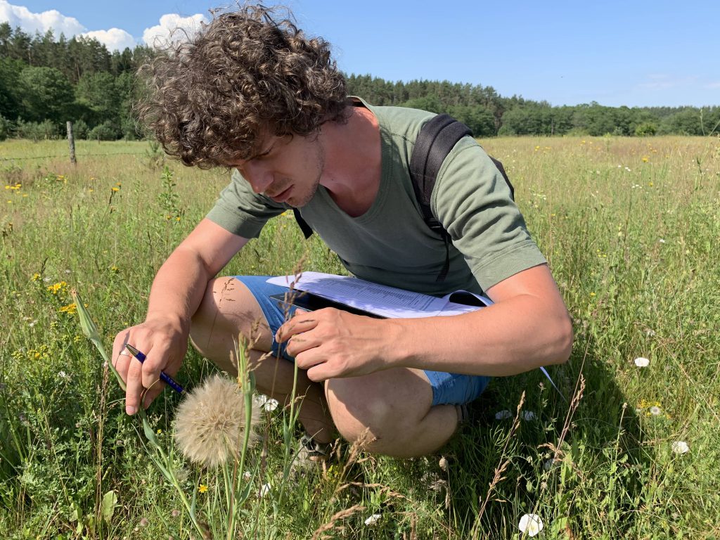 botanist, botanikas, pieva