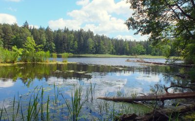 Kviečiame į Natura 2000 tinklo socio-ekonominės naudos vertinimo studijos pristatymą