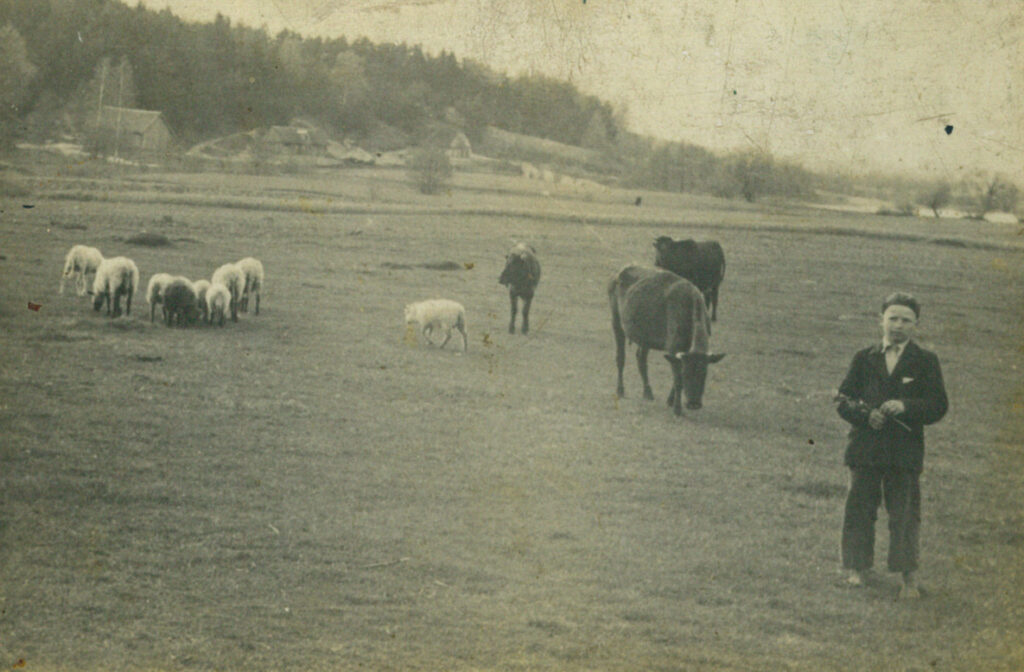 piemenavimas, panemunių dzūkai