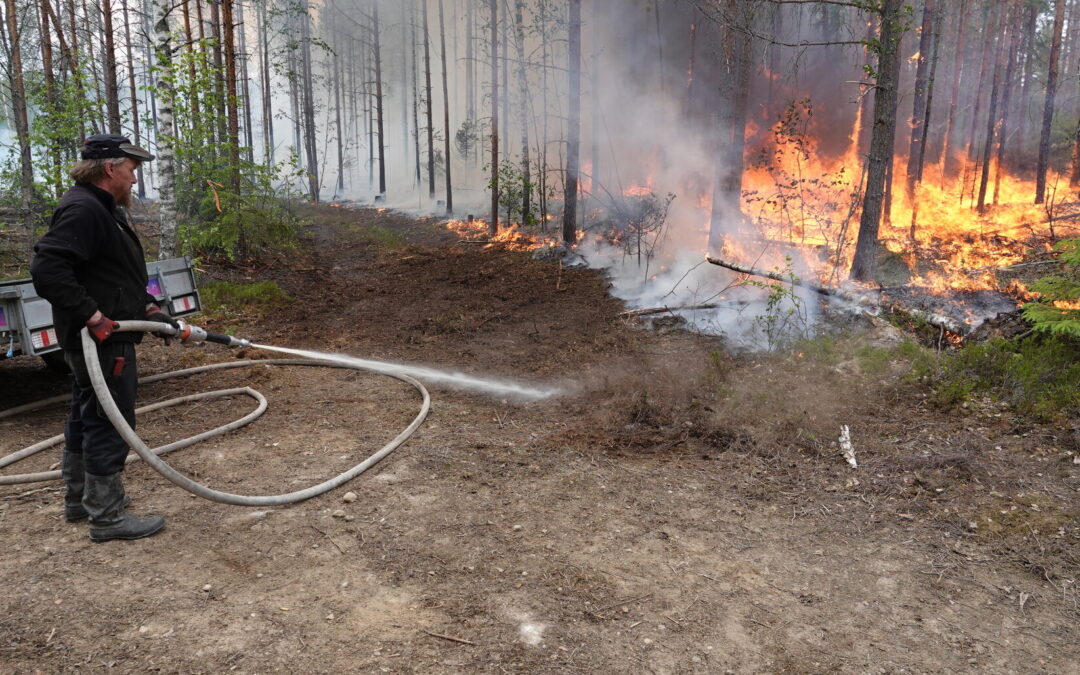 Possibilities to use the fire for nature management were discussed in the international conference