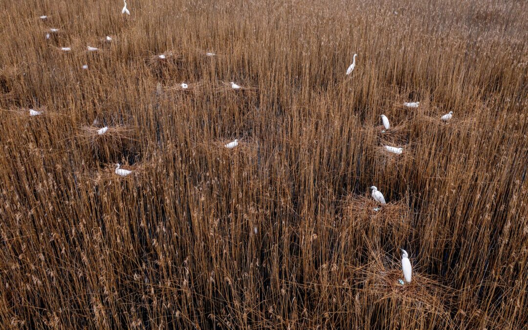 Laukiame pasiūlymų dėl priemonių „Natura 2000“ tinklui sukurti ir palaikyti