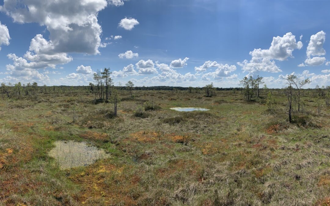 Pelkės – gyvybės lopšys ir strateginės partnerės kovojant su klimato kaita