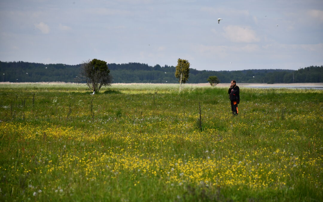 Aukštaitijos nacionalinio parko ir Labanoro regioninio parko direkcija ieško „Naturalit“ projekto koordinatoriaus