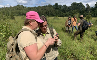 Žemaitijoje vyko baltamargės ir auksuotosios šaškyčių monitoringo mokymai