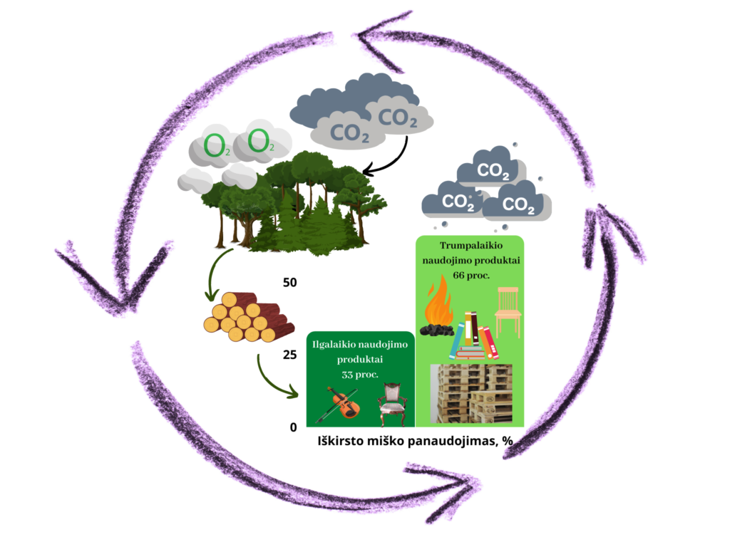 CO2 apykaitos grafikas