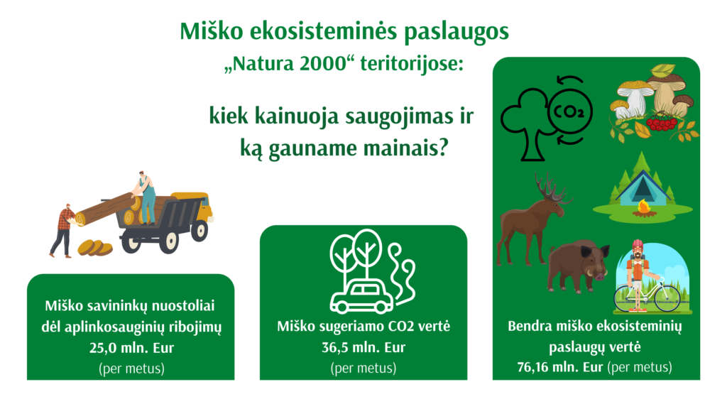 miško ekosisteminės paslaugos