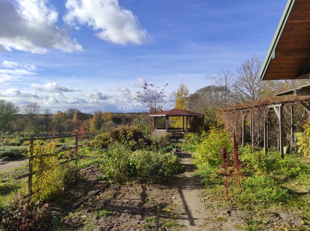 Jadvygos Balvočiutės ūkis