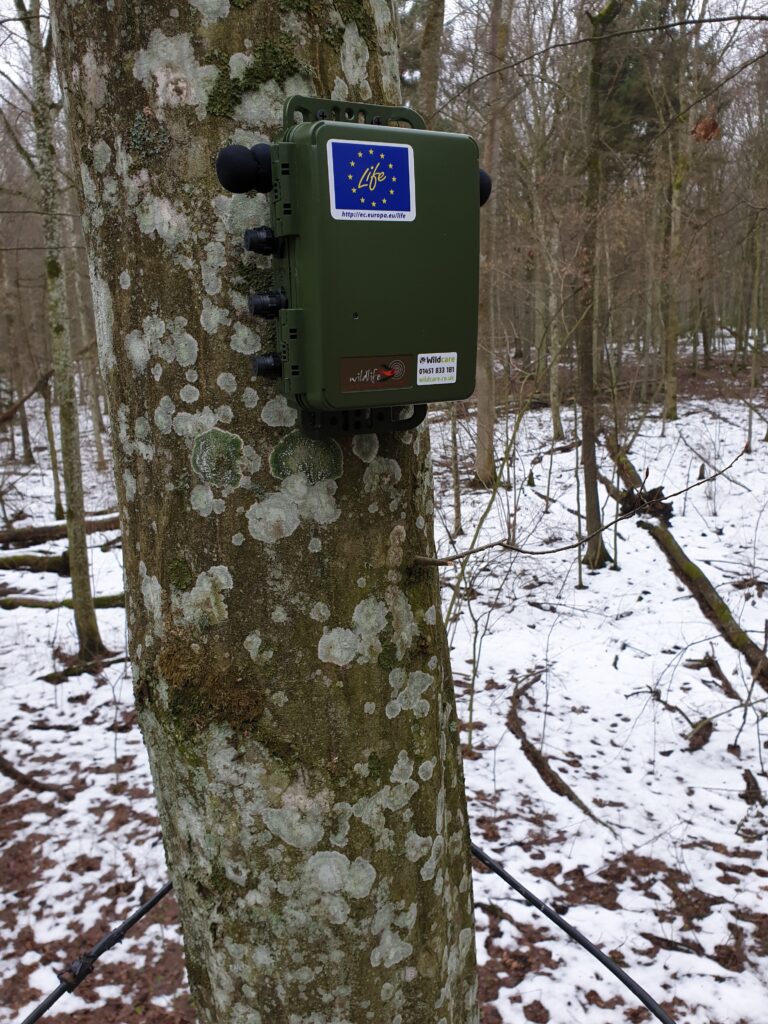 akustinis prietaisas