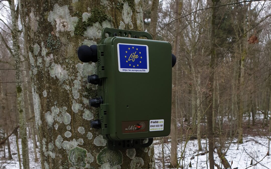 Nuotoliniame renginyje bus pristatyti inovatyvaus paukščių monitoringo rezultatai