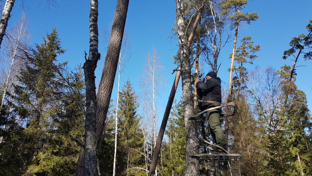 paukščių monitoringas