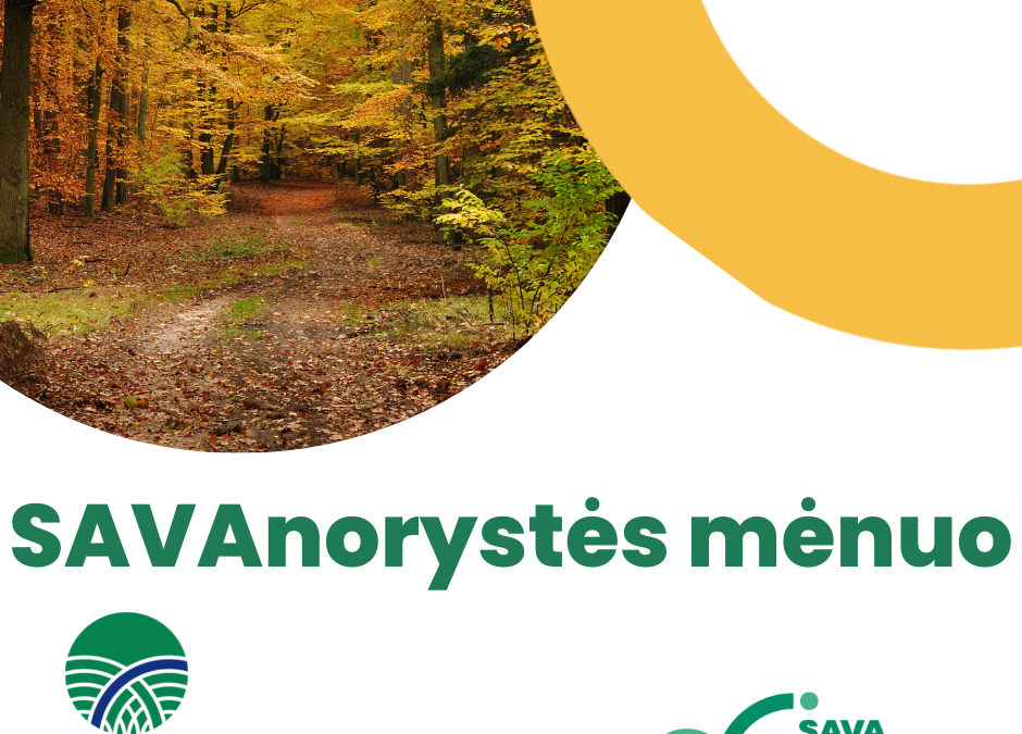 Kviečiame įmonių darbuotojus ir bendraminčių grupes dalyvauti savanorystės mėnesyje