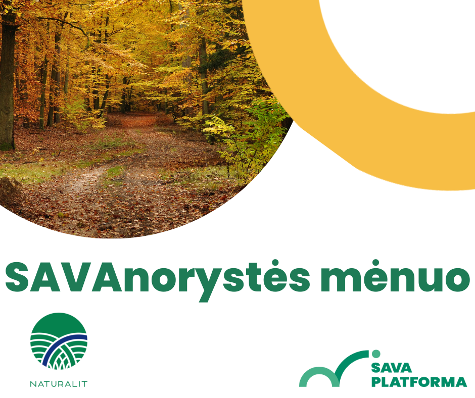 savanorystės mėnuo