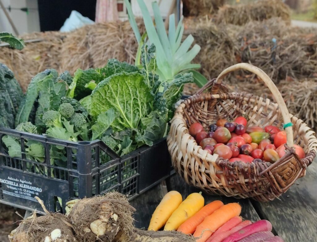 vietinės daržovės