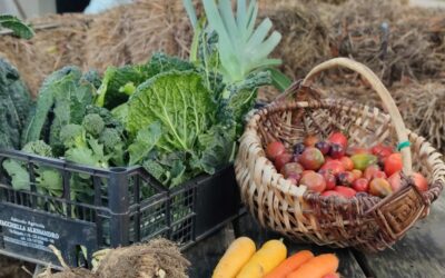 Ekspertai pataria: kodėl vietos maisto produktus svarbu įtraukti į kasdienę mitybą