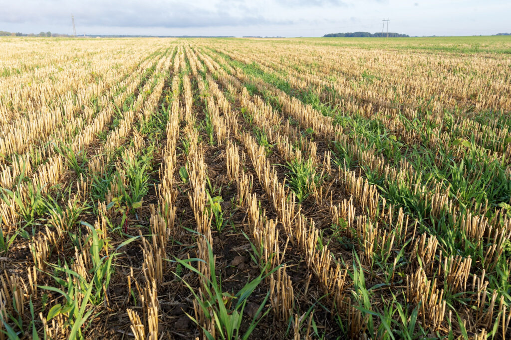 neariminės žemdirbystės laukas