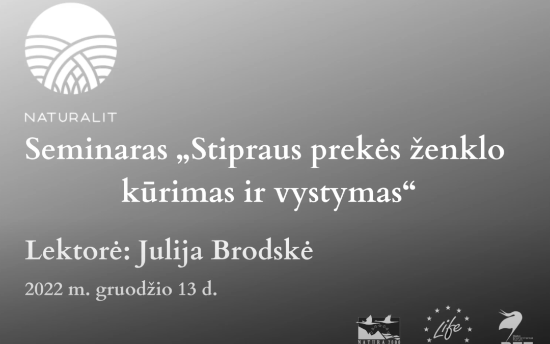 Seminaro „Stipraus prekės ženklo kūrimas ir vystymas“ vaizdo įrašas
