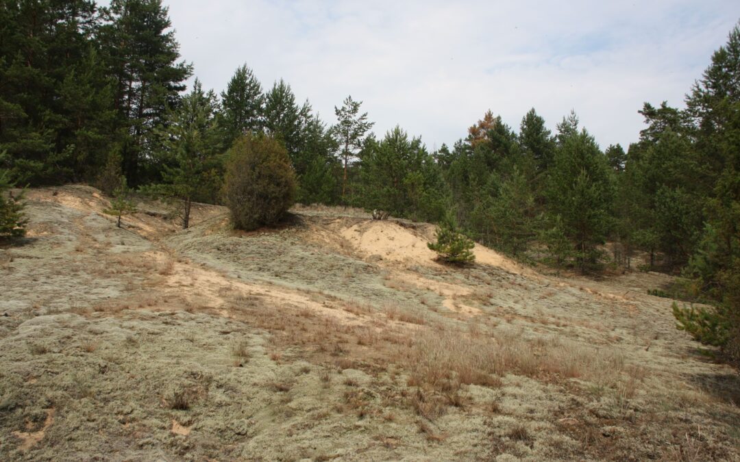 Mitų dekonstrukcija žemyninių kopų atvėrimo temoje