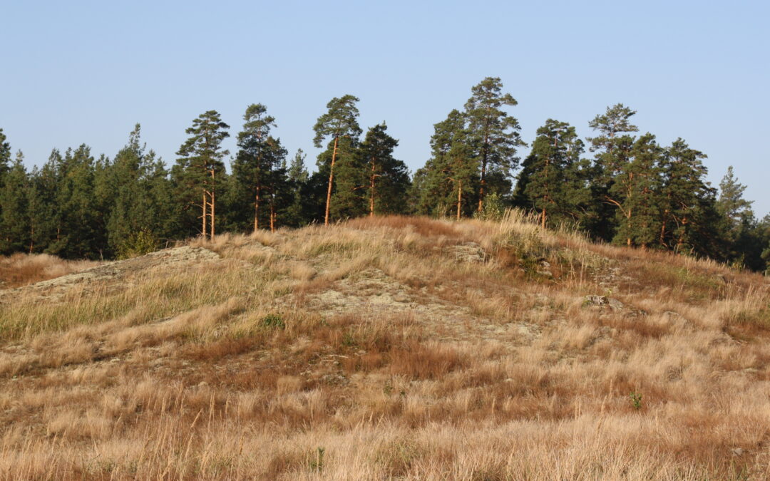 LRT „Laba diena, Lietuva“: Dzūkijoje atveriamos žemyninės kopos: kuriama aplinka gamtos įvairovei ir turistams (VIDEO)