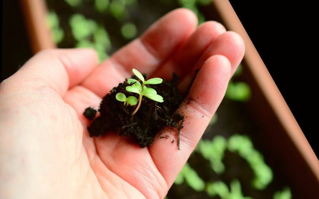 Kviečiame dalyvauti seminare „Dirvožemis, jo svarba, ekologija ir tvarus naudojimas“