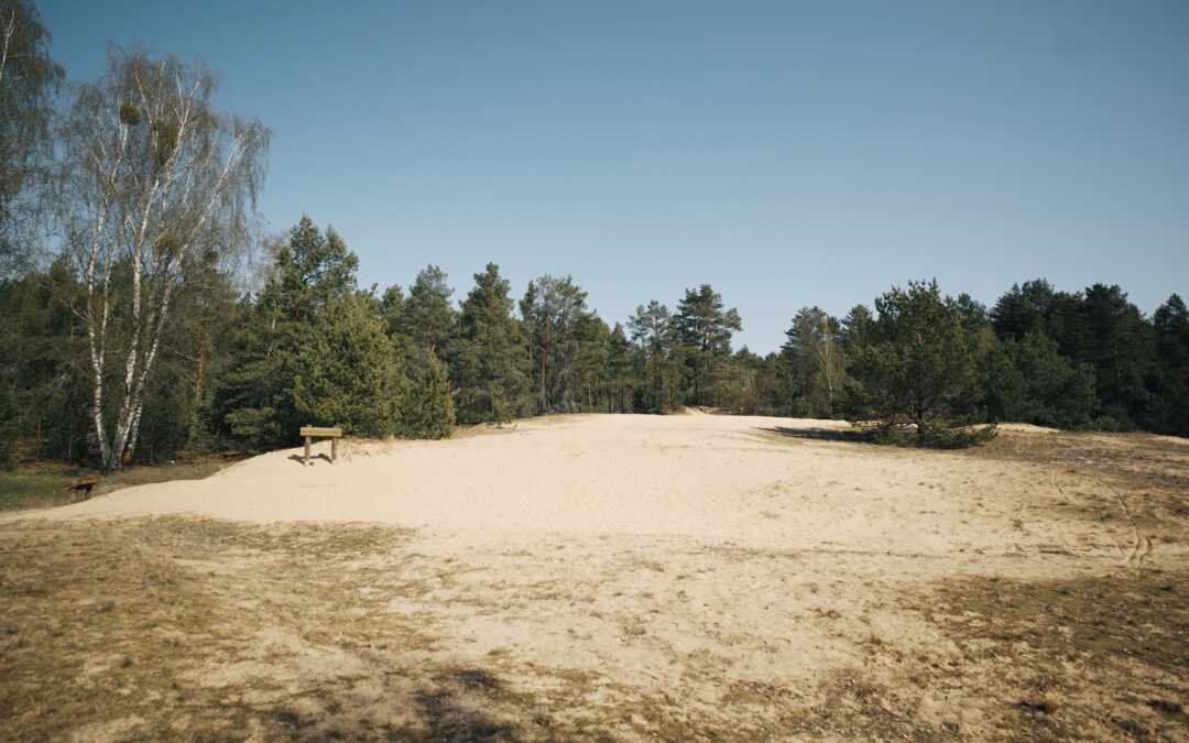 A measure that has long been used abroad – to preserve rare Lithuanian plant and insect species