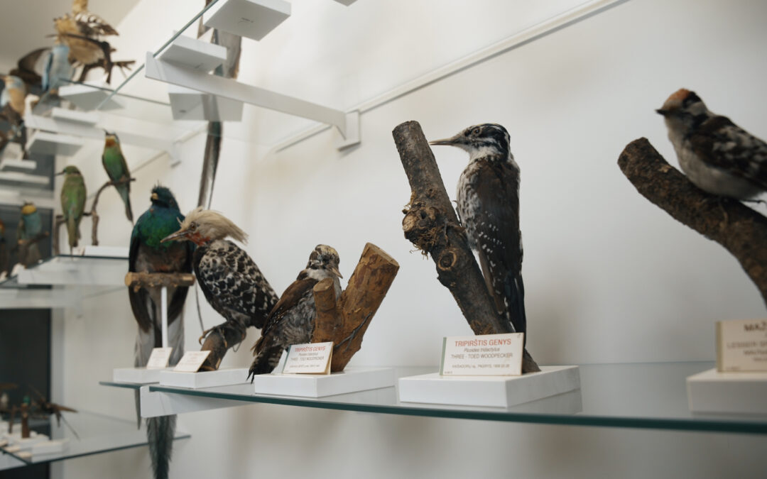 Neįmanoma išsaugoti genių, nesaugant jų buveinių