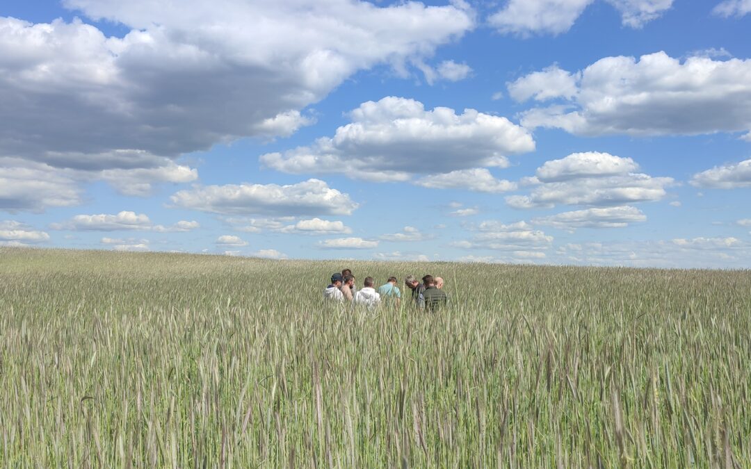 In 2023 two seminars on soil ecology were organized