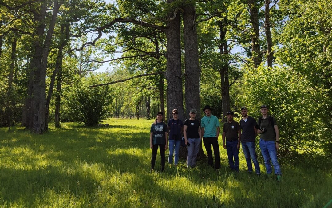 The conference on conservation of wooded meadows – experience from Northern and Baltic Countries