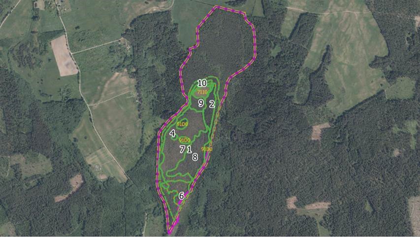 Gamtotvarkos priemonės bus įgyvendinamos paprasčiau