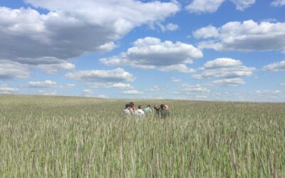 Įvyko antrasis dirvožemio temai skirtas seminaras: „Dirvožemis ir jame esantys mikroorganizmai“