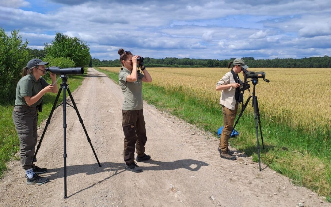 Saugomų teritorijų direkcijų darbuotojai gilino žinias apie plėšriųjų paukščių ir juodojo gandro monitoringą