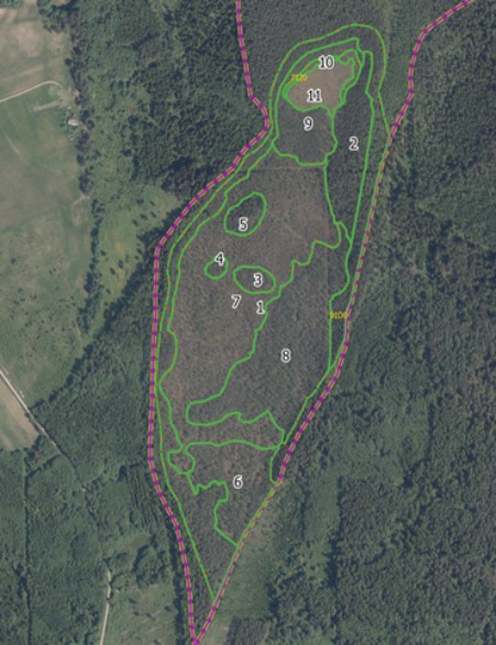 Nuotolinis Saugomų teritorijų strateginio planavimo aprašo pristatymas