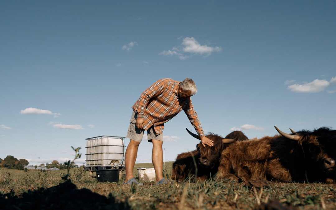 Finišo tiesiąją pasiekė „Gero ūkininko“ čempionatas