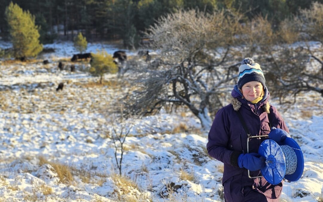 Pasaulinės dirvožemių dienos proga – pažintis su regeneracine žemdirbyste