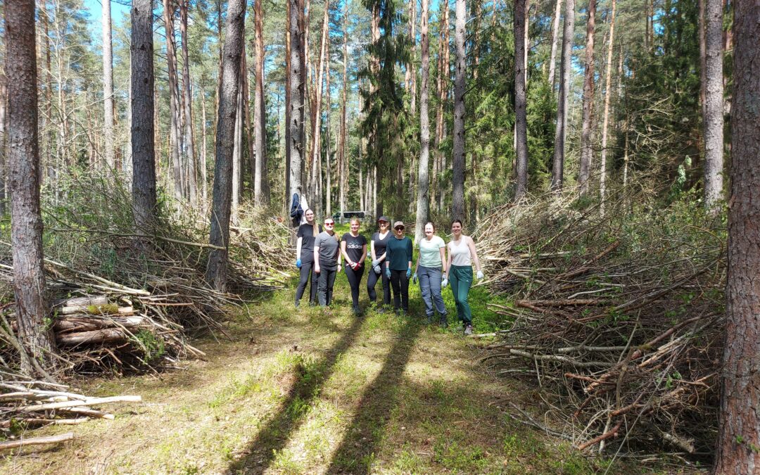 Tarptautinė savanorių diena – puiki proga padėkoti savanoriams už daug gražių pokyčių