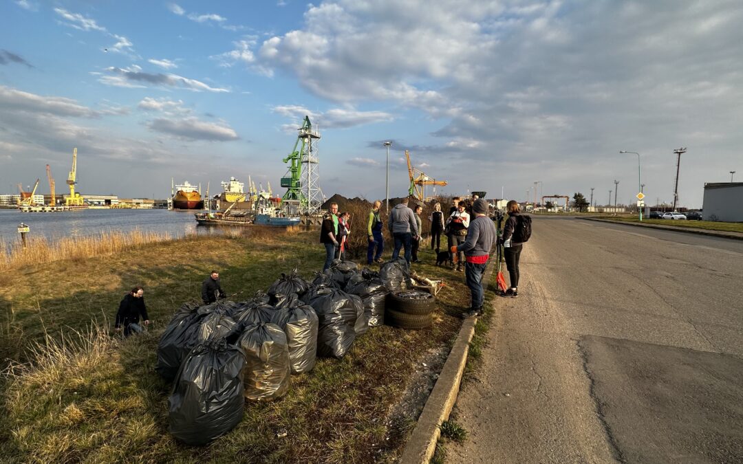 Įspūdingai auga gamta saugomose teritorijose besirūpinančių savanorių skaičius