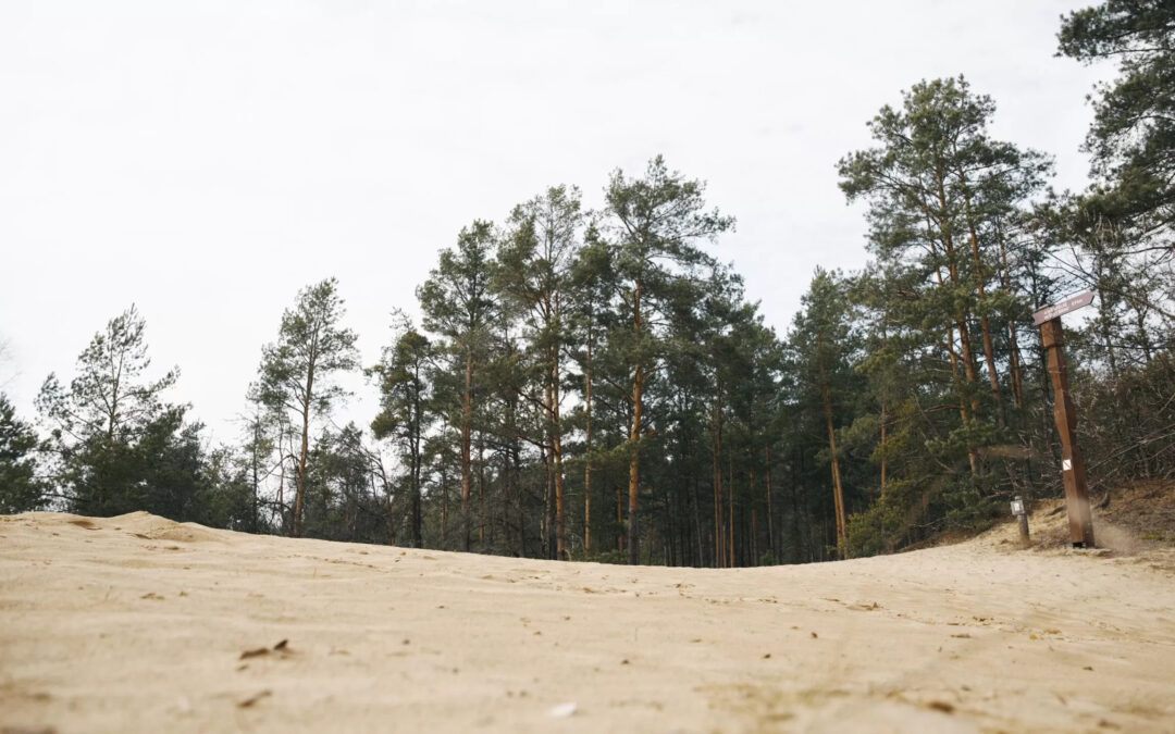 Mokslininkai: Dzūkijoje įgyvendinti pokyčiai padės išsaugoti retas rūšis