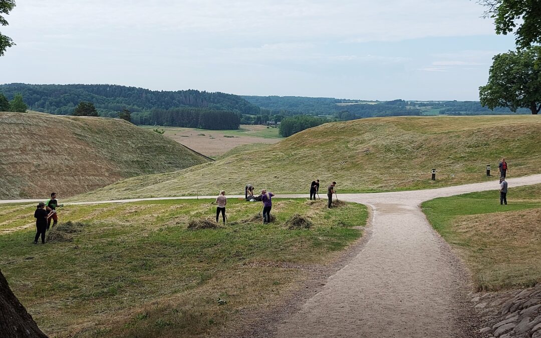 Savanorystės saugomose teritorijose patirtis skatina sugrįžti ir vėl